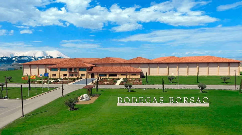Cantine Borsao