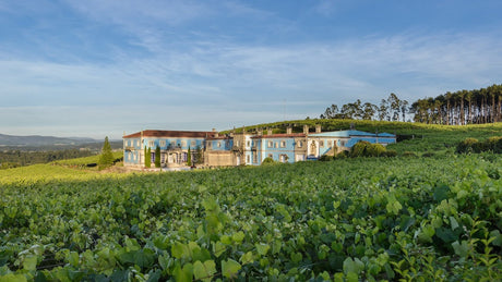 Bodegas Granbazán