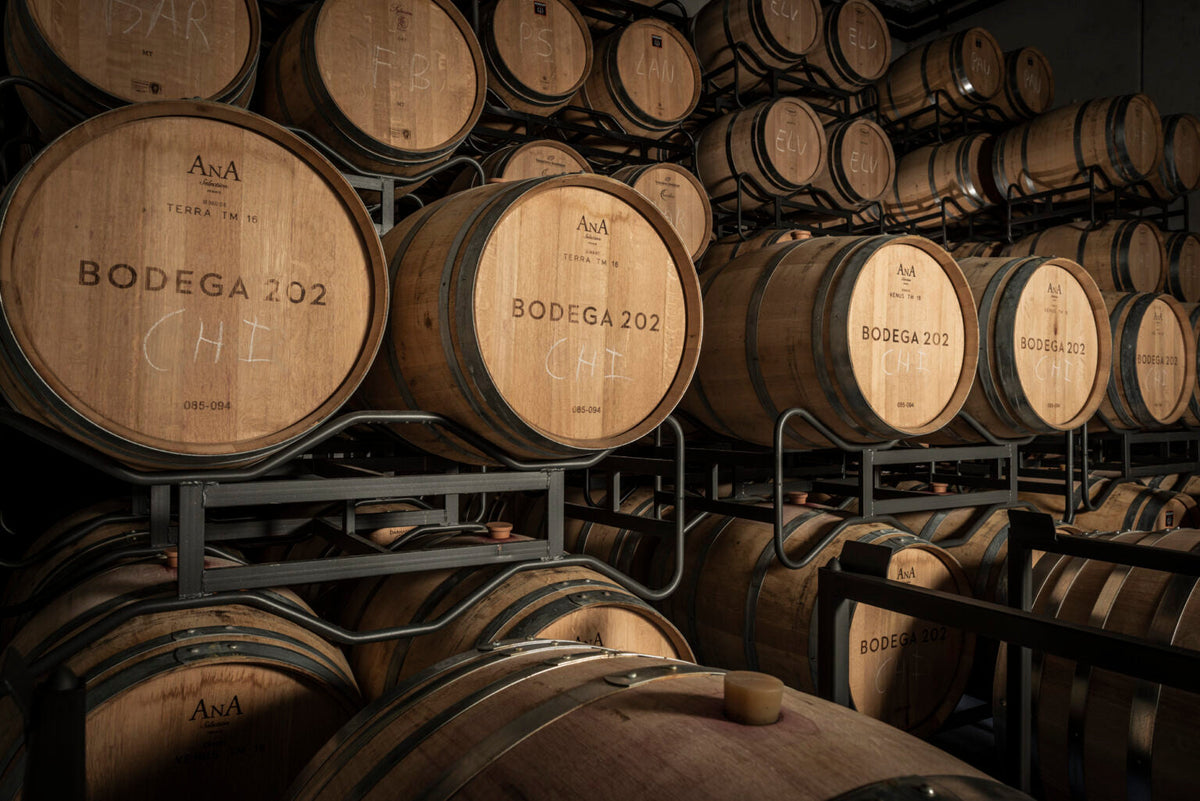 Azienda vinicola 202