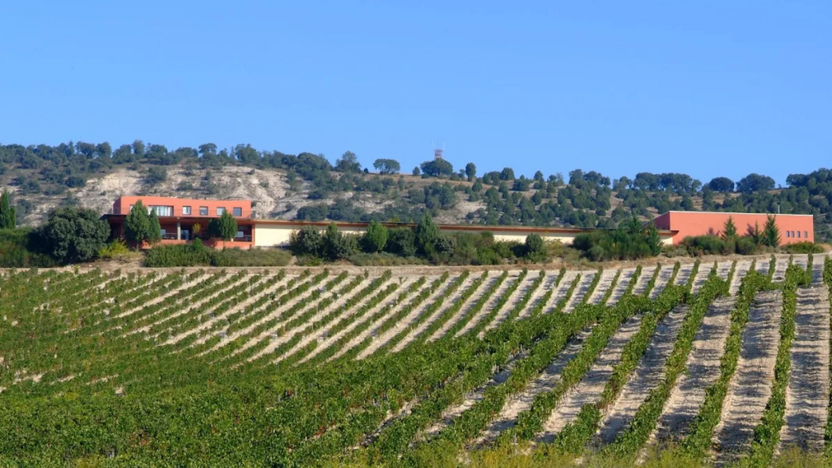 Azienda vinicola Hacienda Monasterio