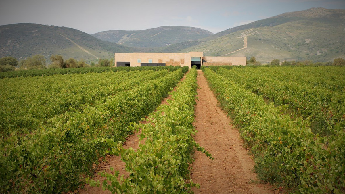 Azienda vinicola Pago de Vallegarcia