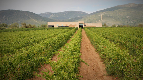 Bodega Pago de Vallegarcia