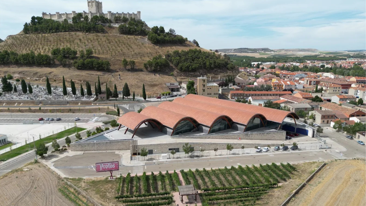 Cantine Protos