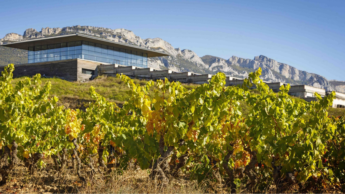 Cantine Baigorri