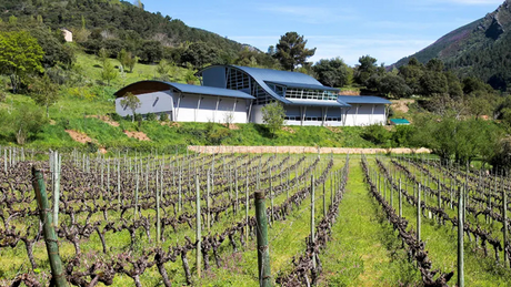 Bodegas Godeval