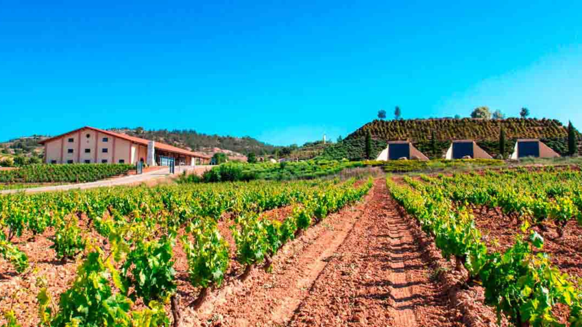Cantine Valduero