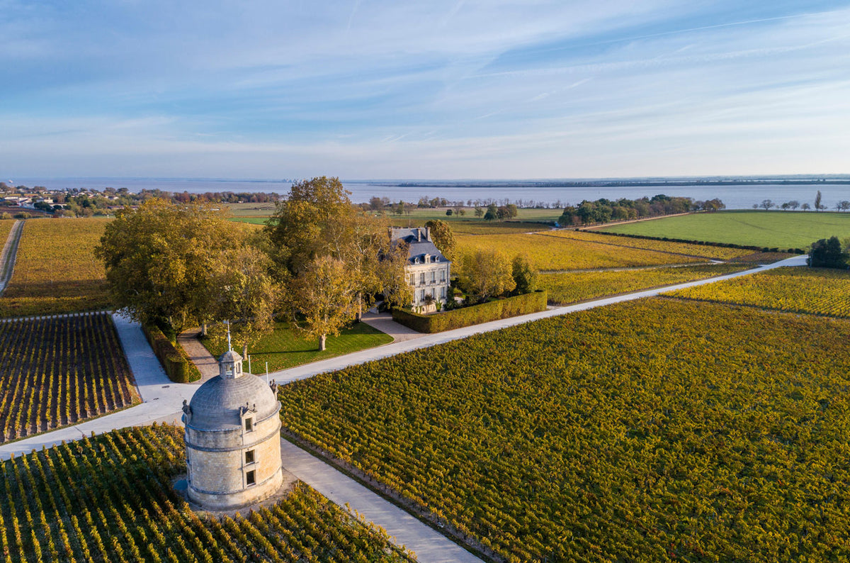 Chateau Latour Winery