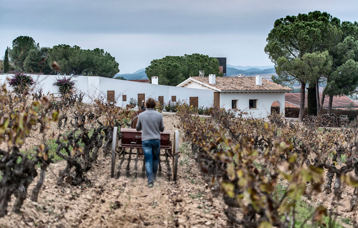 Raventos i Blanc Winery