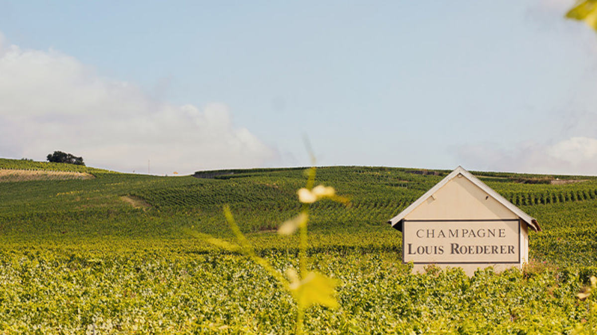 Maison Louis Roederer