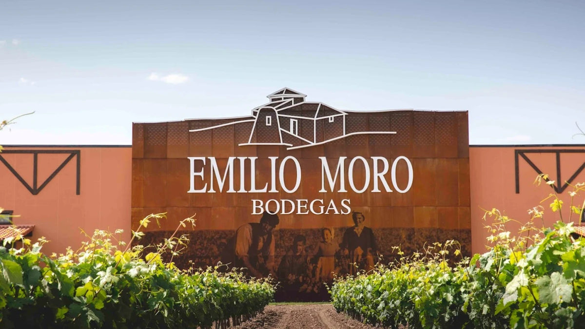Emilio Moro Winery