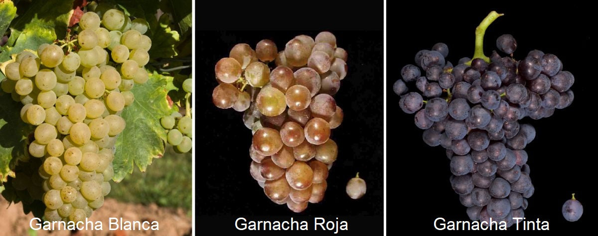 Grenache