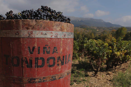Bodega R. López de Heredia - Viña Tondonia