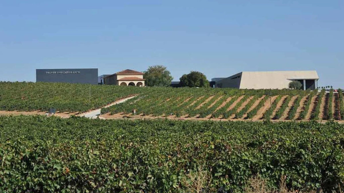 Azienda vinicola Pago de los Capellanes