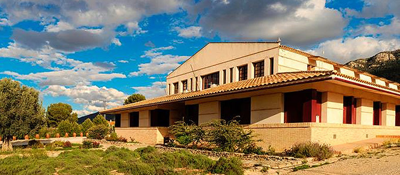 Azienda vinicola Casa de la Ermita