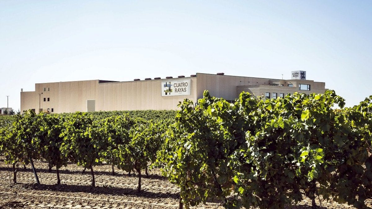 Azienda vinicola Cuatro Rayas