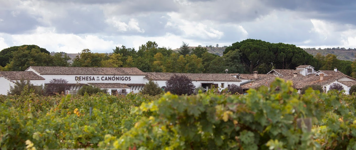 Azienda vinicola Dehesa de los Canónigos