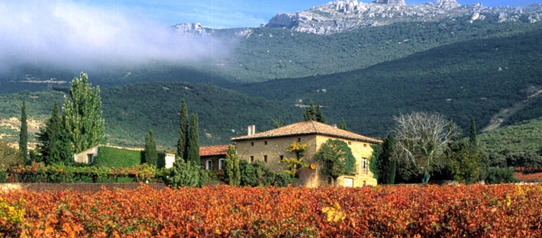 Cantine Remelluri