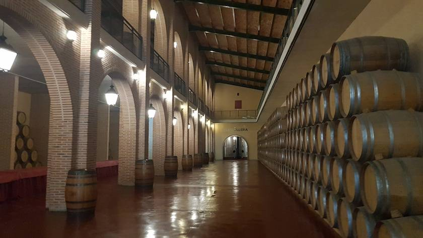 Yllera Wineries