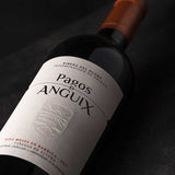 ANGUIX COSTALARA PAYMENTS 2020