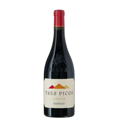 Bottiglia di vino Borsao Tres Picos