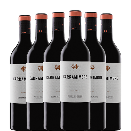 6 bottiglie di Carramimbre Crianza 2022
