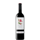 CAMMINE DEL PRIORAT 2024