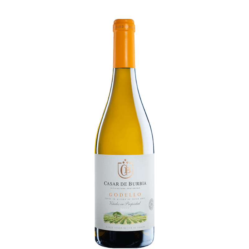 CASAR DE BURBIA Godello 2023