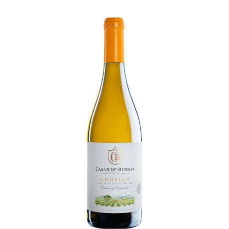Bottiglia di Casar de Burbia Godello 2023