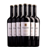 6 bottiglie di Figuero 12 mesi 2021
