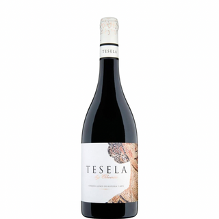 TESELA di CLUNIA