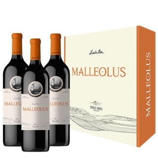 MALLEOLO 2023 x3 + Astuccio