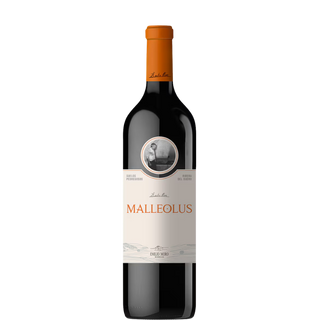 MALLEOLO 2023