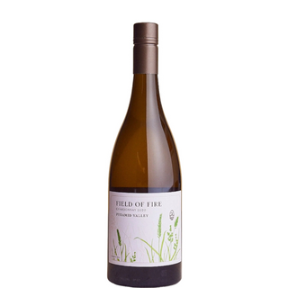 PYRAMID VALLEY Campo Di Fuoco Chardonnay 2020