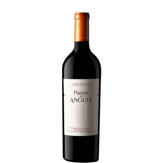 ANGUIX COSTALARA PAYMENTS 2020