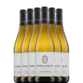 QUINTA DO SIL 2024 x6 bottiglie