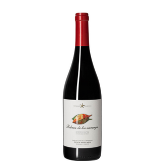 RIBERA DE LOS NARANJOS 2021