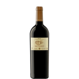 Bottiglia di San Vicente Reserva 2021