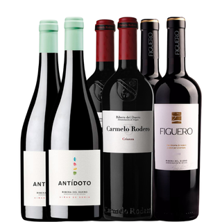 Selezione Ribera del Duero